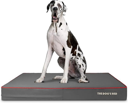 The Dog’s Bed Orthopedic Memory Foam Dog Bed 54x36, Pain