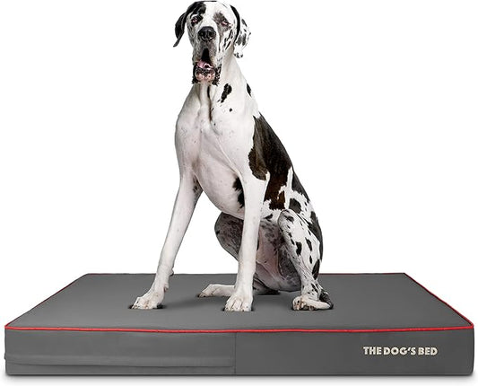 The Dog’s Bed Orthopedic Memory Foam Dog Bed 54x36, Pain