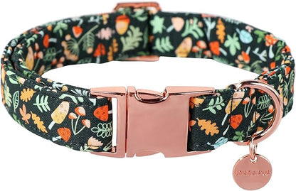 Daisy Fall Cotton Dog Collar with Metal Buckle
