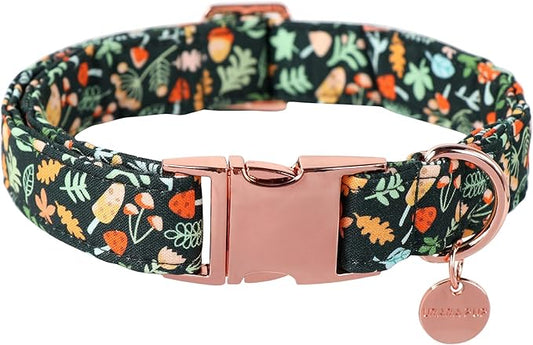 Daisy Fall Cotton Dog Collar with Metal Buckle