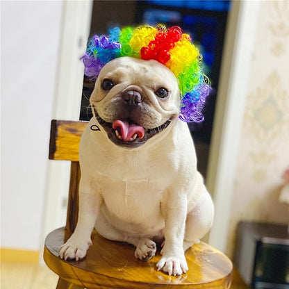 Funny Dog Cat Cosplay Wig, Headwear Apparel Toy, Pet Costumes, Cat Dress up for Halloween, Christmas, Parties, Festivals, Dog Wigs for Small Medium and Large Dogs (Colorful Clown Hair)