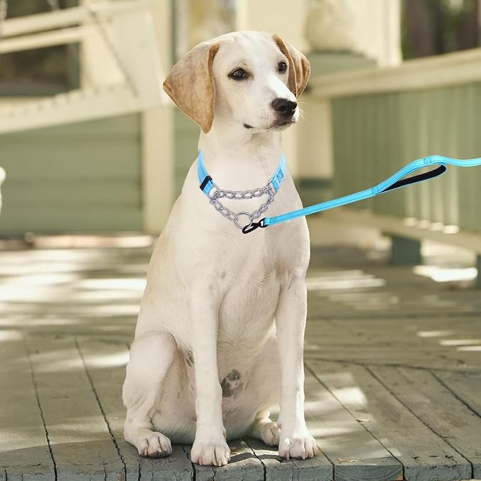 Martingale Dog Collar with Stainless Steel Chain and Leash Set 5FT Double
