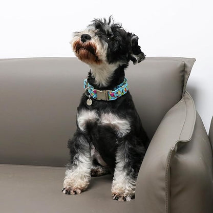 Ice Cream Summer Cotton Dog Collar with Metal