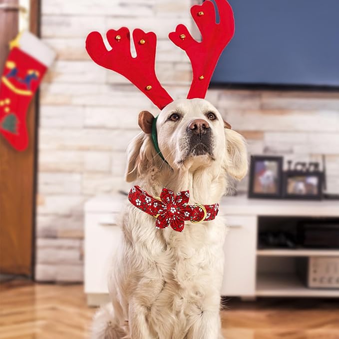 Elegant little tail Dog Collar with Flower