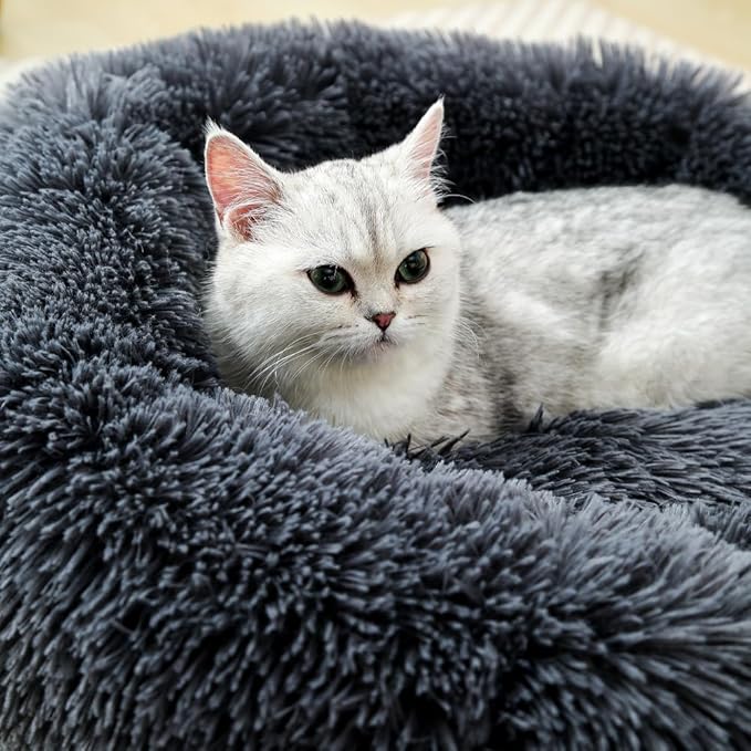 Dog Bed Cat Bed Kitten Bed Puppy Bed 4Kg