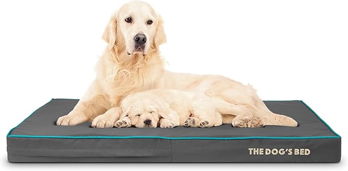 The Dog’s Bed Orthopedic Memory Foam Dog Bed 46x28x4, Pain