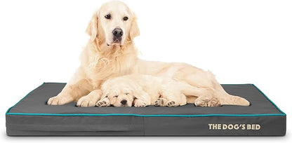 The Dog’s Bed Orthopedic Memory Foam Dog Bed 46x28x4, Pain