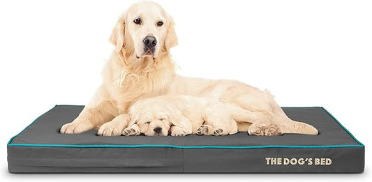 The Dog’s Bed Orthopedic Memory Foam Dog Bed 46x28x4, Pain