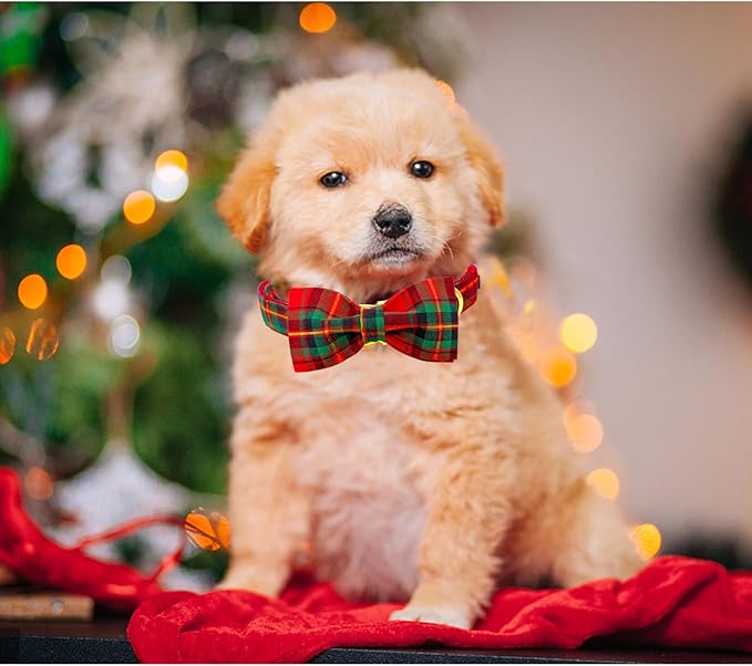 Lionheart glory Christmas Plaid Dog Collar
