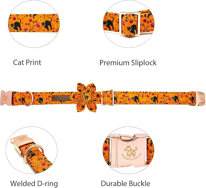 Elegant little tail Halloween Dog Collar