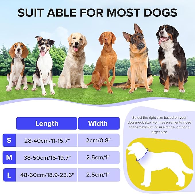 Led Dog Collar for Night Walking