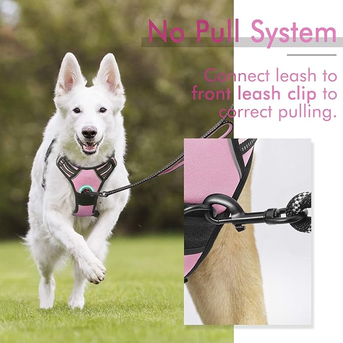 rabbitgoo No-Pull Pet Harness with 2 Leash Clips, Adjustable Soft Padded, Reflective No-Choke Pet Oxford Vest with Easy Control Handle for Large Dogs, Pink, L