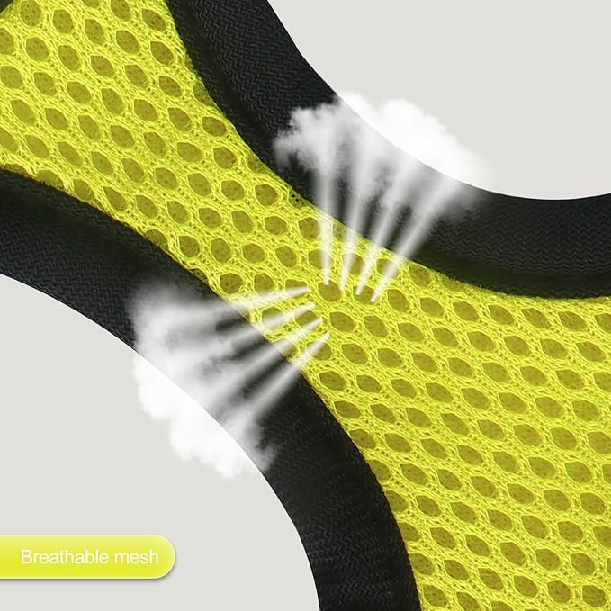 YIMEIS Dog Harness and Leash Set 1)