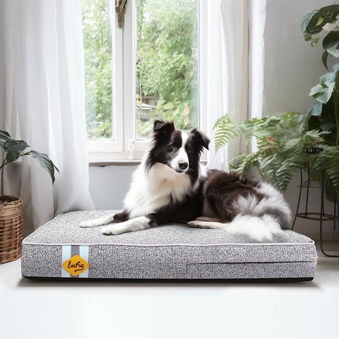 Laifug Memory Foam Dog Bed