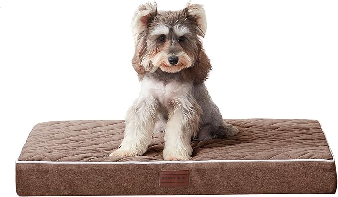 SunStyle Home Orthopedic Dog Beds for Small Dogs