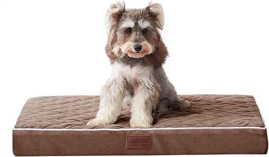 SunStyle Home Orthopedic Dog Beds for Small Dogs