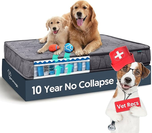 Sping Orthopedic Dog Beds for Large Dogs 10 Years Collapse,4 Inch