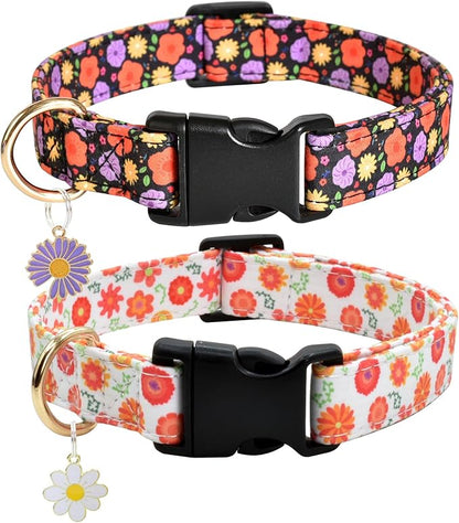Flower Patterns Dog Collar with Accessories