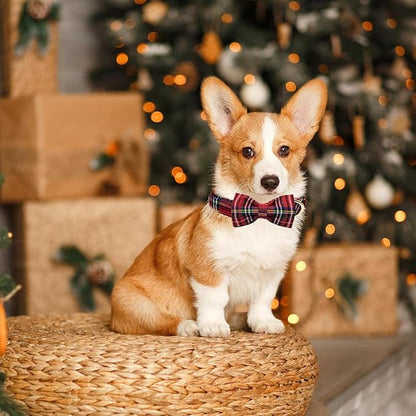 Christmas Day Dog Collar with Bow Red Green