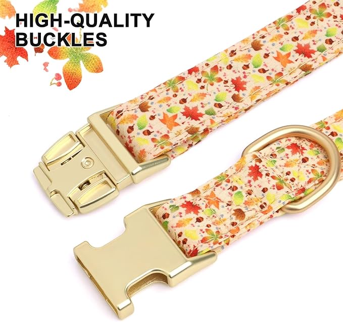 Beirui Cute Girl Dog Collars for Female Dogs