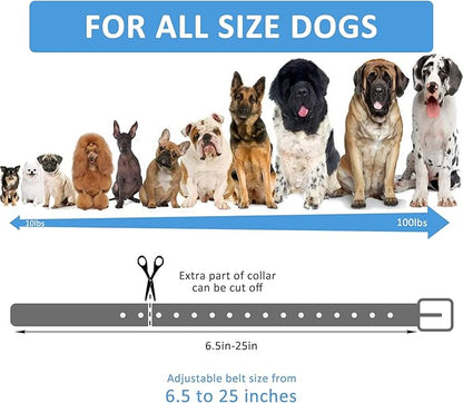 Replacement Collar Strap 3/4',Reflective,Adjustable,Metal Buckled,Waterproof Pack2)