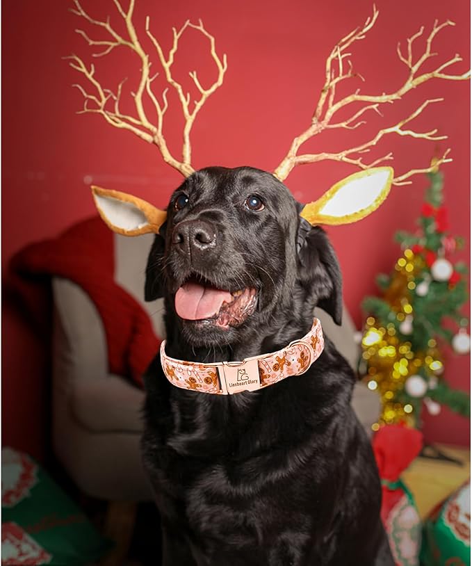 Lionheart glory Christmas Dog Collar Pink Collar Dog