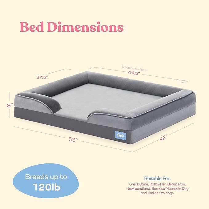 Orthopedic Sofa Dog Bed