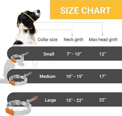 SVD.PET Dog Prong Collar for No-Pull Training