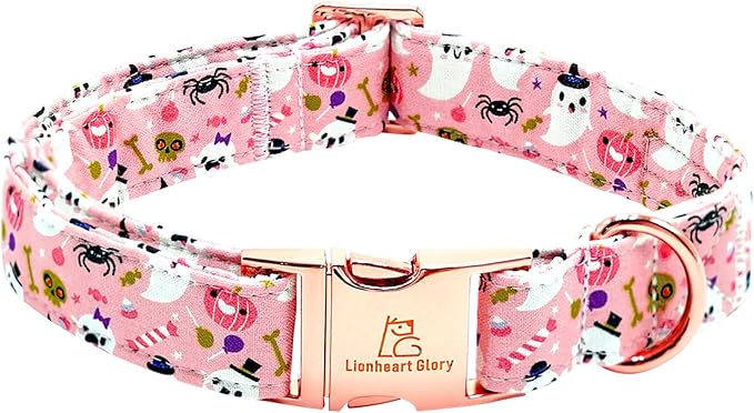 Lionheart glory Dog Collar Fall Halloween Pumpkin Collars