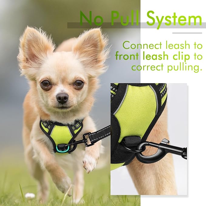 rabbitgoo Dog Harness, No-Pull Pet Harness with 2 Leash Clips, Adjustable Soft Padded Dog Vest, Reflective No-Choke Pet Oxford Vest with Easy Control Handle for Small Dogs, Wild Lime, XS