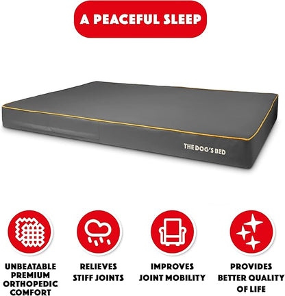 The Dog’s Bed Orthopedic Memory Foam Dog Bed 64x44, Pain