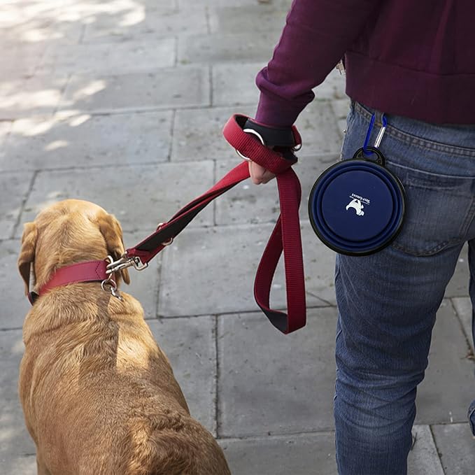 Collapsible Dog Bowls for Travel, 2-Pack Dog Portable Water Bowl for Dogs Cats Pet Foldable Feeding Watering Dish for Traveling Camping Walking with 2 Carabiners, BPA Free