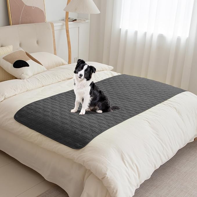 RBSC Home Waterproof Sofa Cover Dog Bed Cover