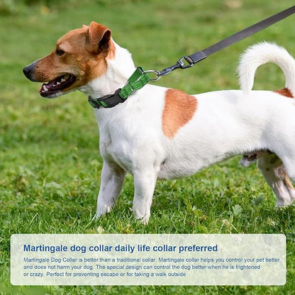 Reflective Martingale Dog Collars. Dog Collar with Quick