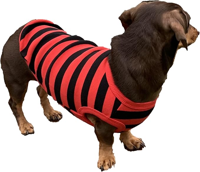 Dachshund Clothes for Dogs Mini and Adults T Shirts (XL