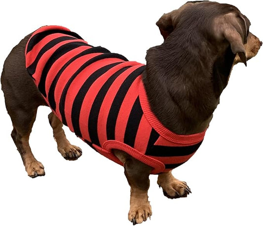 Dachshund Clothes for Dogs Mini and Adults T Shirts (XL