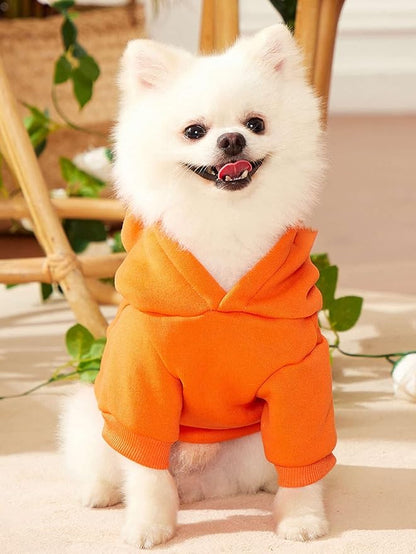 QWINEE Cartoon Bear Print Cat Hoodie Breathable Stretchy