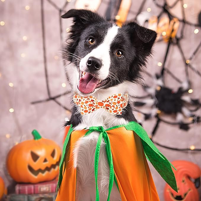 ARING PET Fall Dog Collar-Cute Halloween Dog Collar with Bow