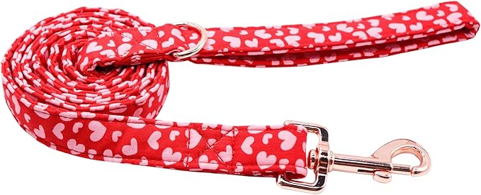 Valentine's Day Dog Leash Durable Handmade Dog Leashes 120cm