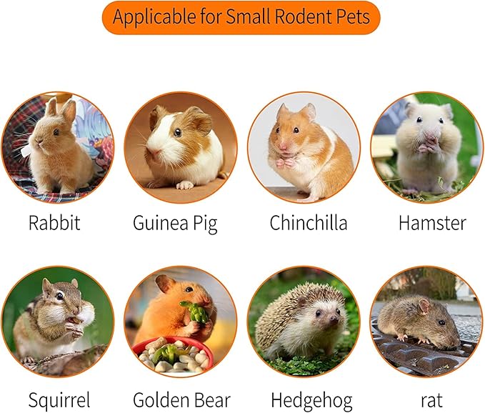 600g Apple Sticks Molar Treats Snacks(150 Pcs)