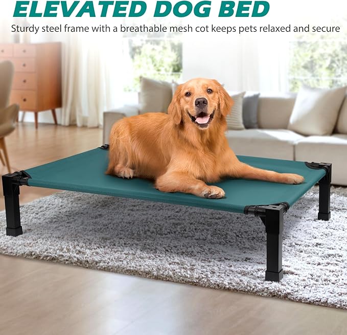 Cooling Elevated Dog Bed