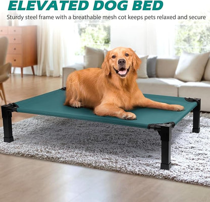Cooling Elevated Dog Bed