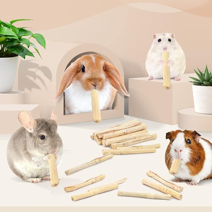 Bissap 700g/1.5Ib Sweet Bamboo Sticks for Rabbits, Bunny Chew Toys for Rabbits Hamster Chinchilla Guinea Pigs Rabbit Squirrel Small Animals Natural Treats Teeth Grinding Chew Sticks