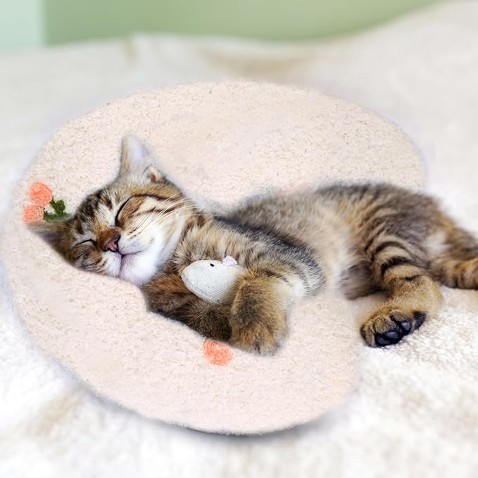 Mity rain Dog Pillow 14.2" * 9.4", Anxiety