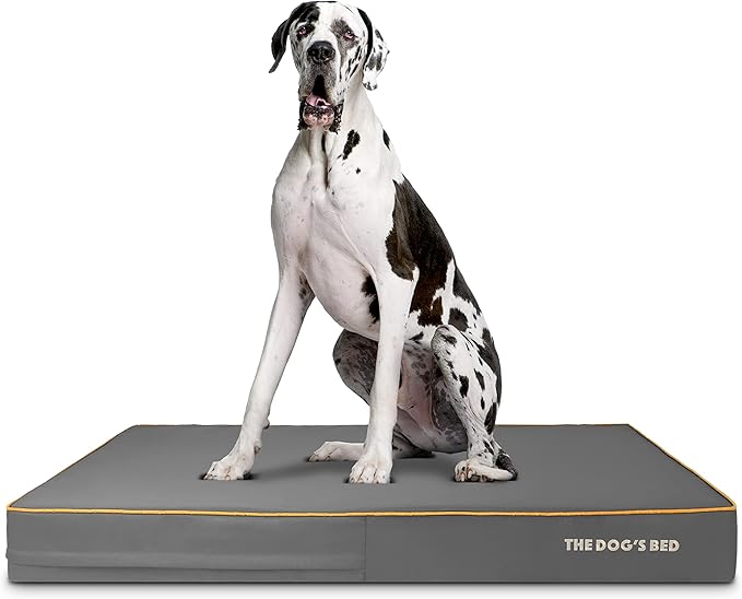 The Dog’s Bed Orthopedic Memory Foam Dog Bed 54x36, Pain