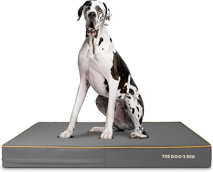 The Dog’s Bed Orthopedic Memory Foam Dog Bed 54x36, Pain