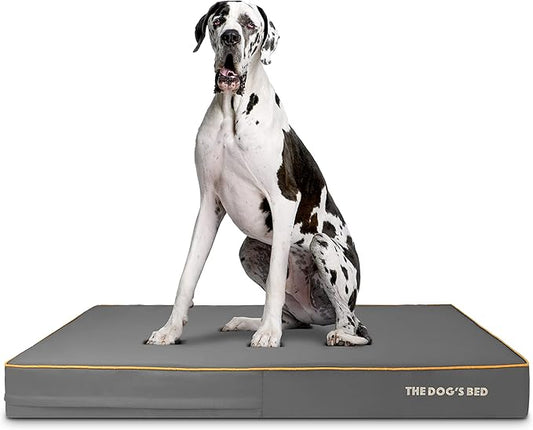 The Dog’s Bed Orthopedic Memory Foam Dog Bed 54x36, Pain