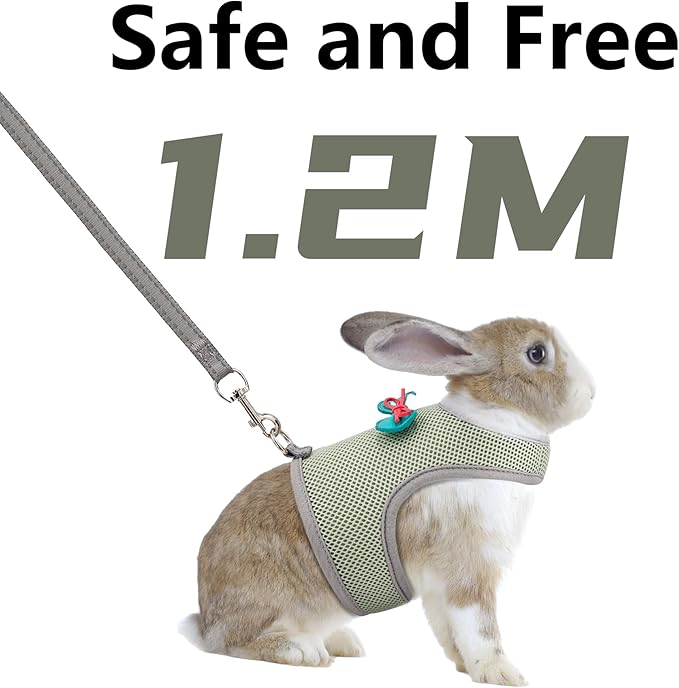 AIITLE Rabbit Harness and Leash Set with Cute Bow