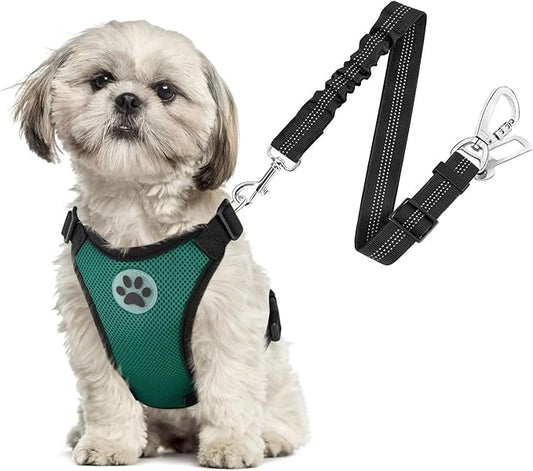 SlowTon Dog Seat Belt Harness for Car, Dog Car Harness Adjustable Mesh Breathable & Dog Seatbelt Safety Tether with Elastic Bungee for Small Medium Large Pets(Green, Double Clip, XS)