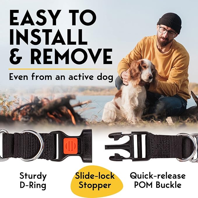 Prong Collar for Dogs